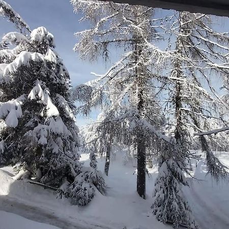 Trento, Monte Bondone, Casa Tipica Di Montagna Leilighet Norge Eksteriør bilde