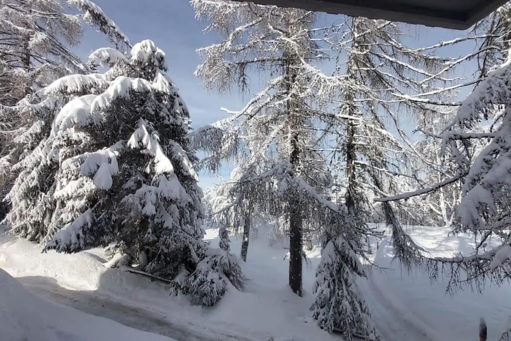 Trento, Monte Bondone, Casa Tipica Di Montagna Leilighet Norge Eksteriør bilde